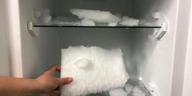 无人问津为何“对开门冰箱”没人买了？龙8国际龙8网站曾经火爆到溢价现在却(图1)