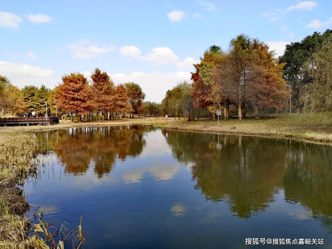 丨楼盘详情 售楼处电话_房价丨详情丨地址丨户型配套价格户型周边环境龙8国际龙8网站张江金茂府(售楼处)-首页网站丨张江金茂府欢迎您(图9)